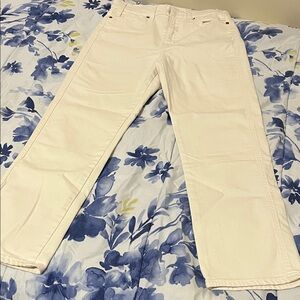 Signature by Levi Strauss Women's Cream Straight Leg Jeans